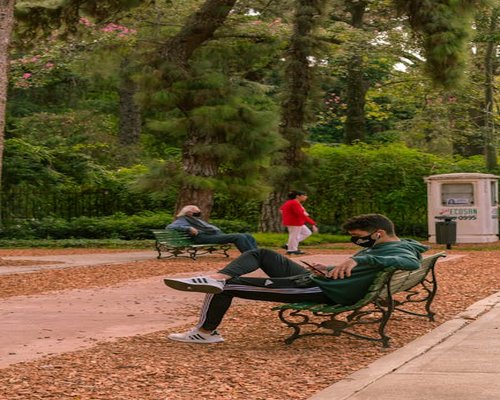 Person relaxing on a bench in a city park in Mexico